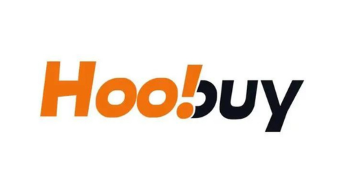 Article 2 What is HooBuy?