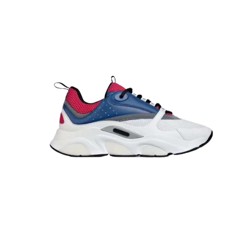Dior B22