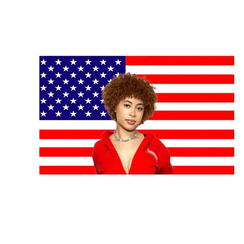 Ice Spice Flag