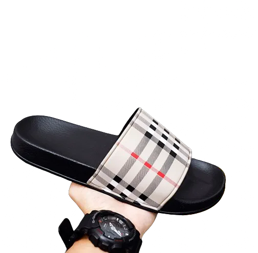 slides 
