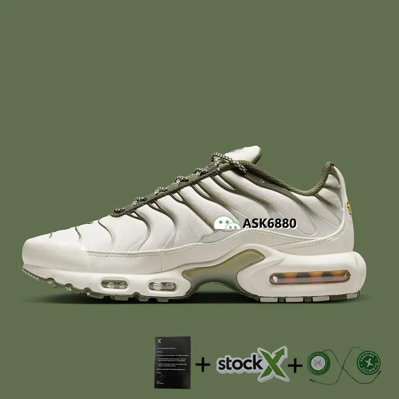 Nike TNS (with stock x tags)