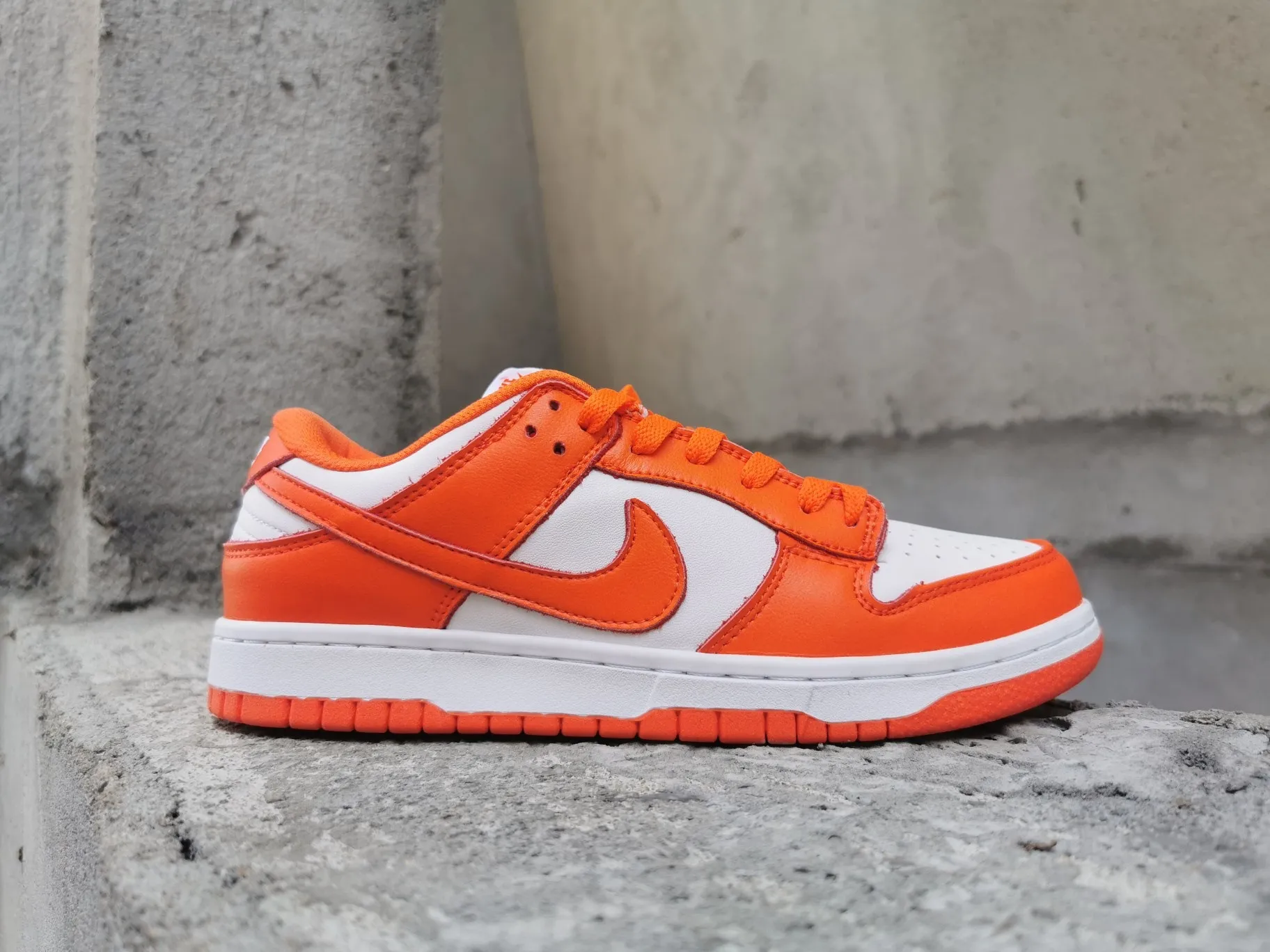 nike  Low dunk 