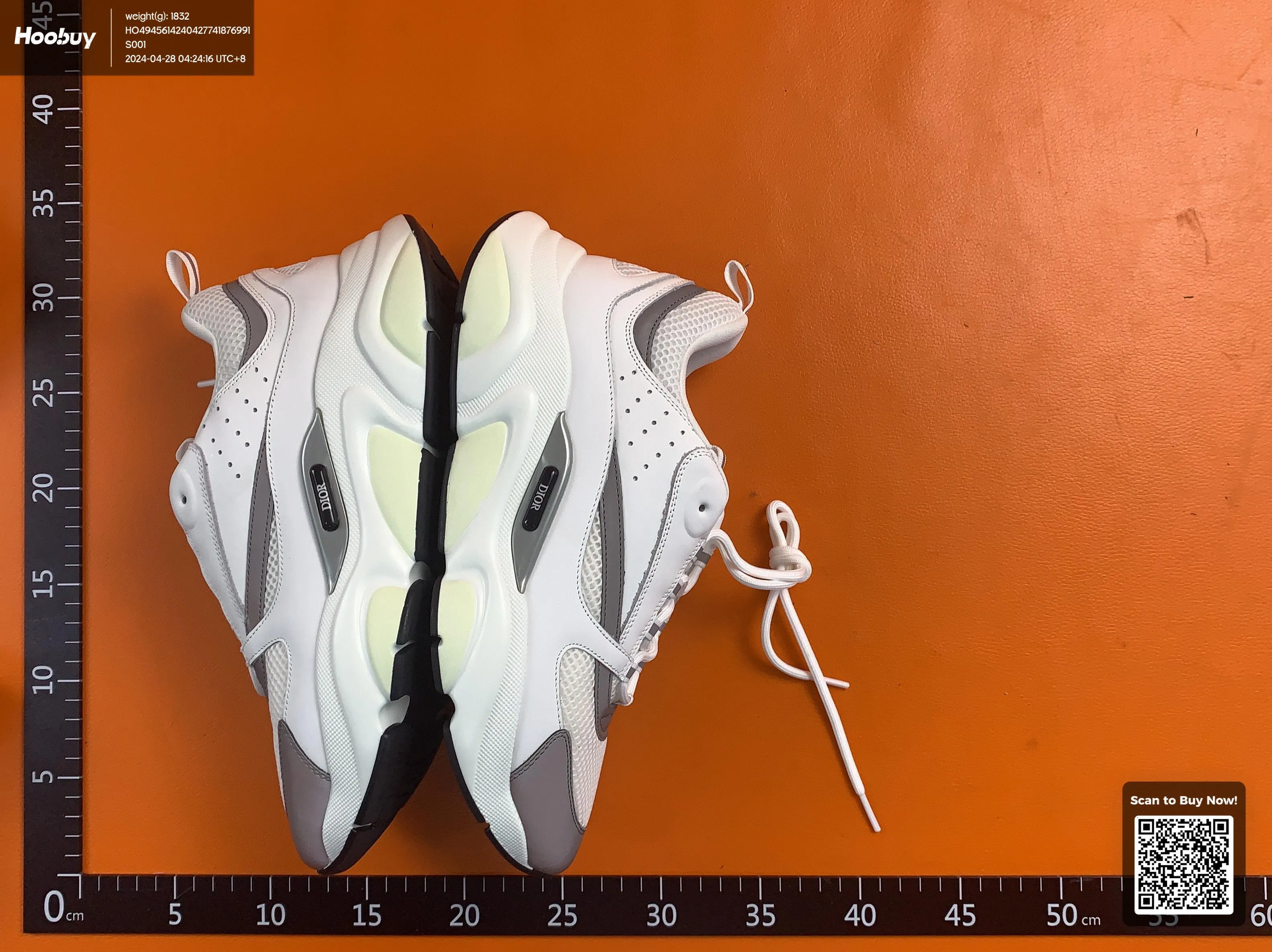 Dior B22s