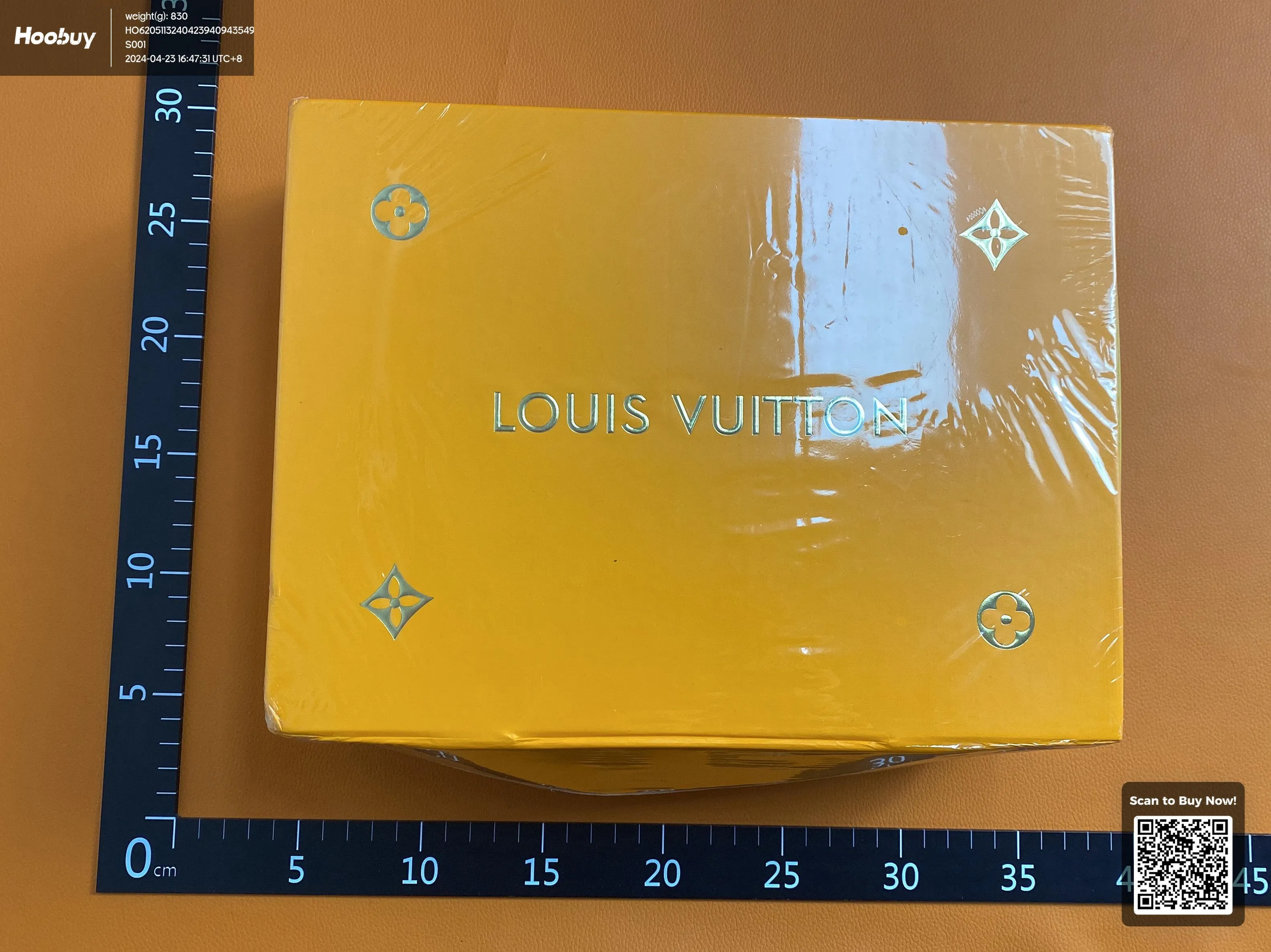 Lv duo bag
